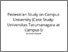 [thumbnail of Pedestrian Study on Campus University (Case Study_ Universitas Tarumanagara at Campus I).pdf]