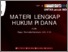 [thumbnail of MATERI HUKUM PIDANA LENGKAP.pdf]